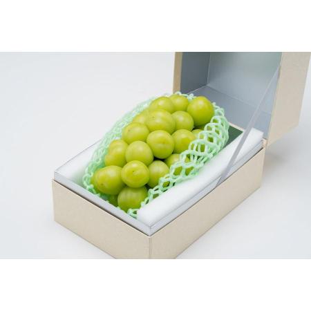 シャインマスカット１房600g（580～650g）
