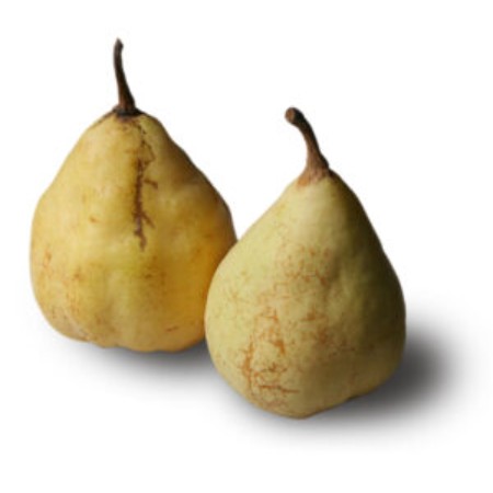 ご自宅用ルレクチェ2kg