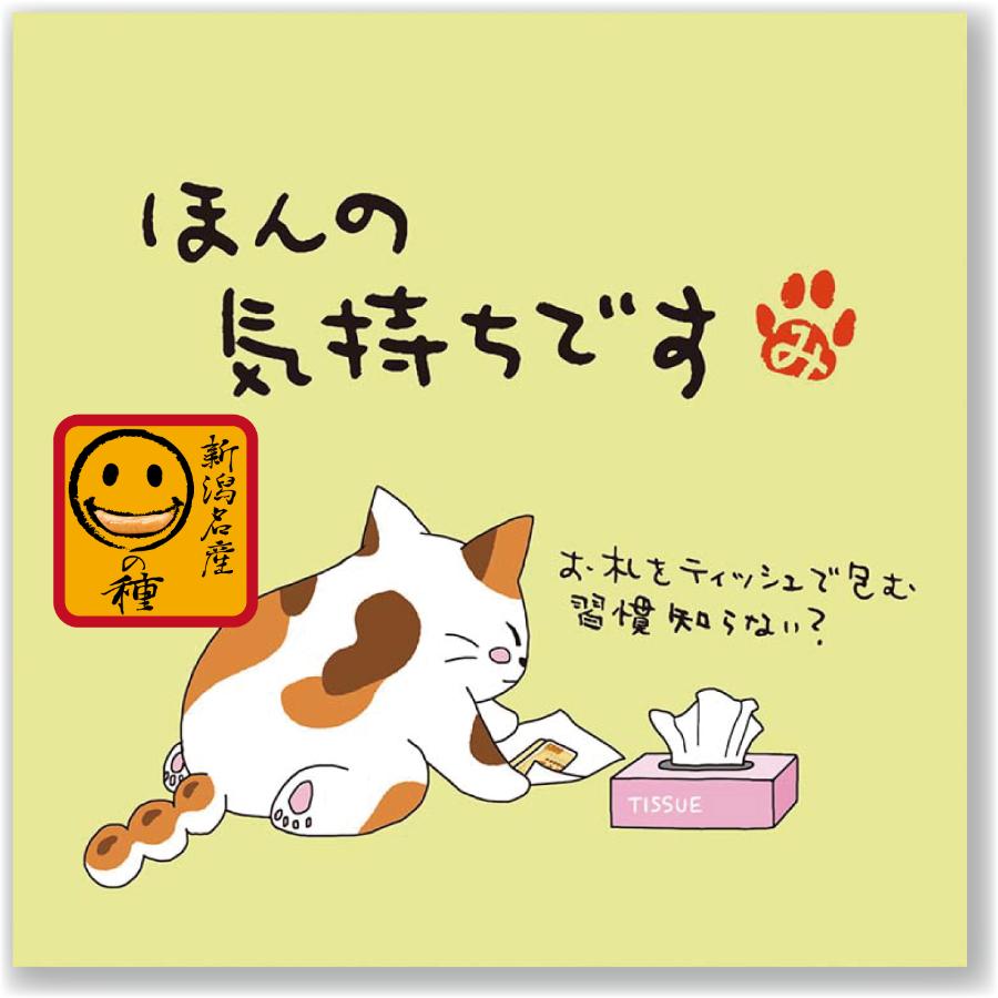 ＜ご挨拶の柿の種＞ご挨拶の柿の種３種類１５パック詰合せ24g x 15パック