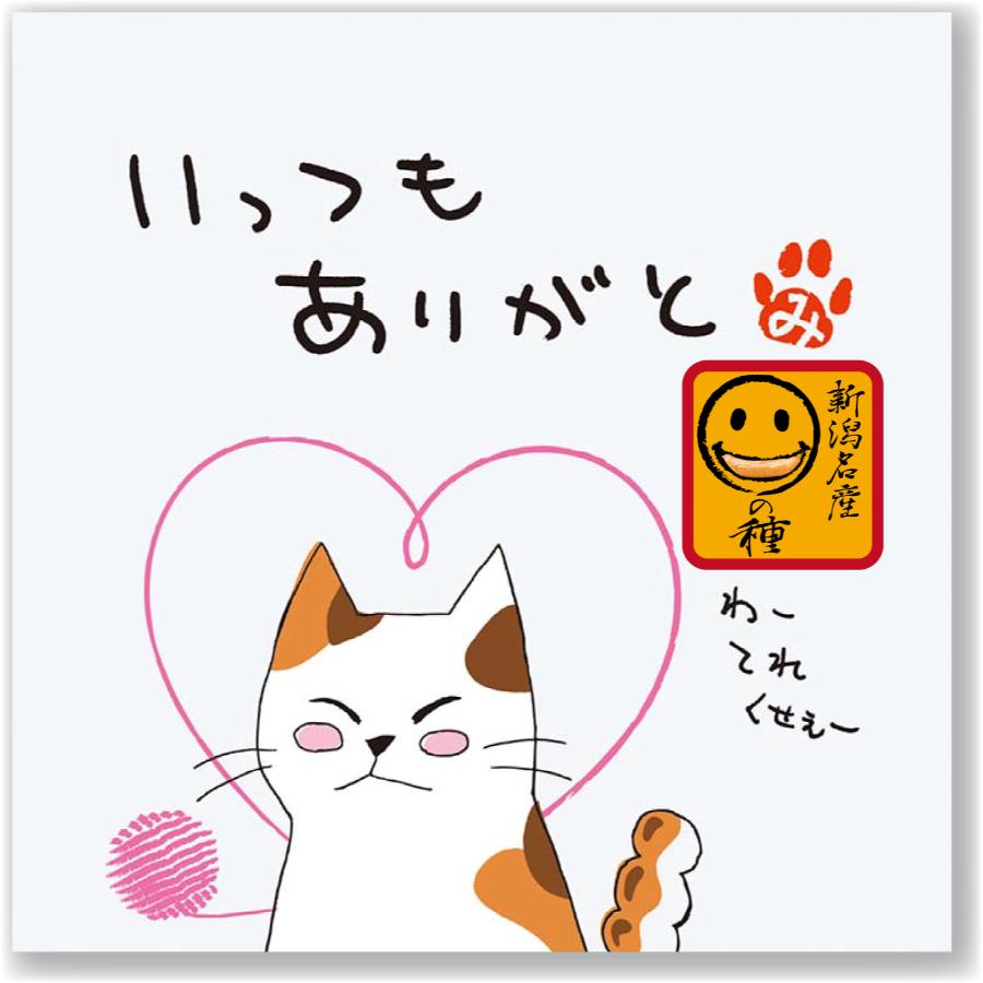 ＜ご挨拶の柿の種＞ご挨拶の柿の種３種類１５パック詰合せ24g x 15パック