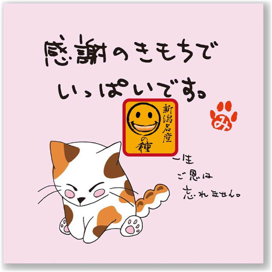 ＜ご挨拶の柿の種＞ご挨拶の柿の種３種類１５パック詰合せ24g x 15パック