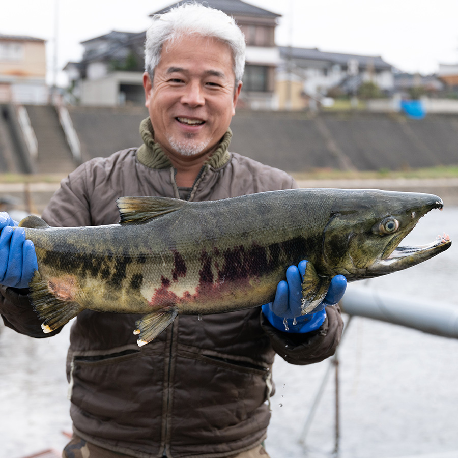 植酸栽培コシヒカリ「伝」精米5kg 6ヵ月定期便