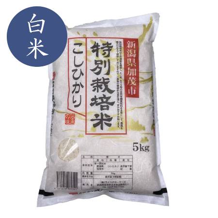 【令和4年産新米】加茂有機米生産組合の作った特別栽培米コシヒカリ 白米 ５kg