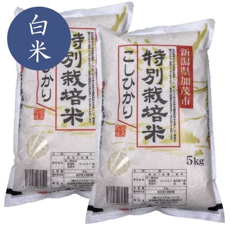 加茂有機米生産組合の作った特別栽培米コシヒカリ 白米 10kg