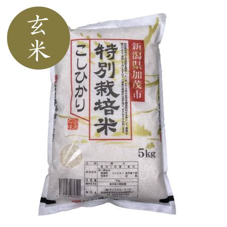 【令和4年産新米】加茂有機米生産組合の作った特別栽培米コシヒカリ 玄米 ５kg