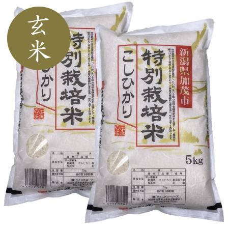 【令和4年産新米】加茂有機米生産組合の作った特別栽培米コシヒカリ 玄米 10kg