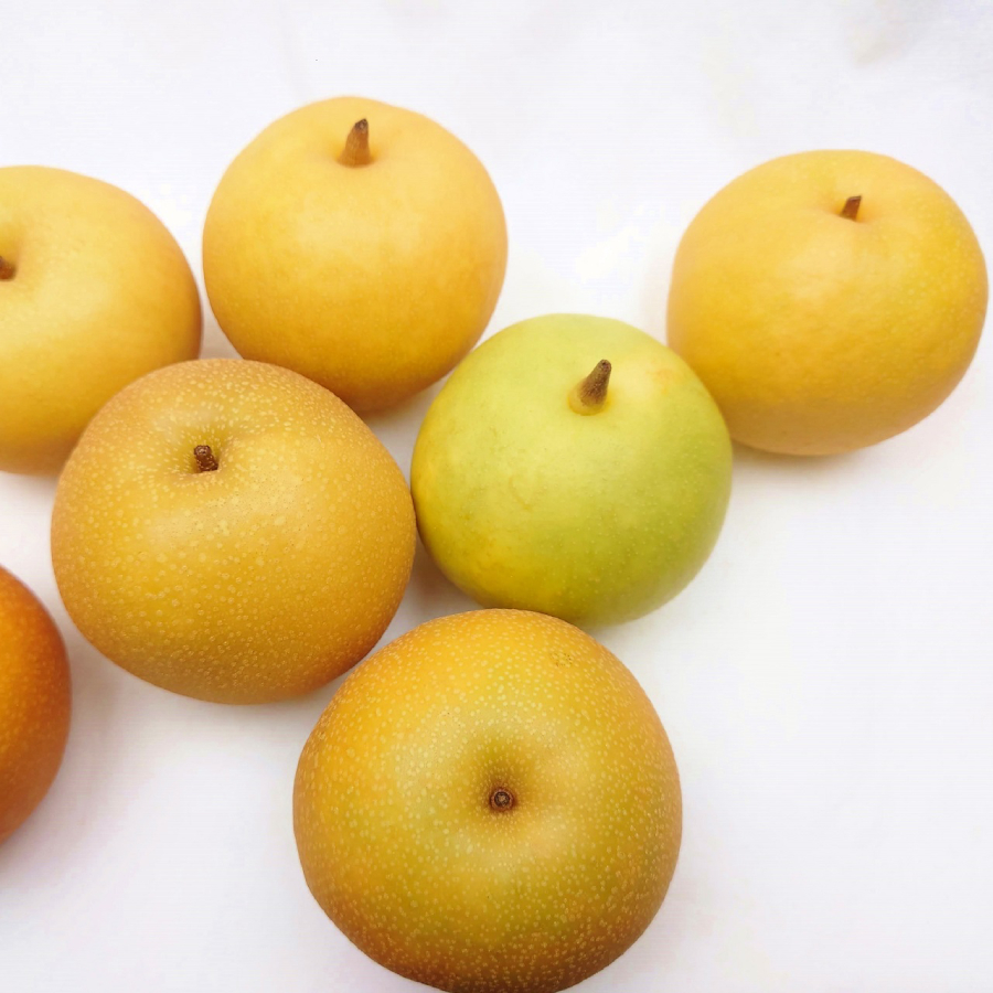 ＜たかはし果樹園＞梨 おまかせ複数品種詰め合わせ5kg