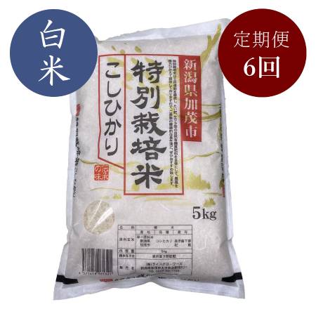 【定期便】加茂有機米生産組合の作った特別栽培米コシヒカリ 白米 ５kg×6回お届け