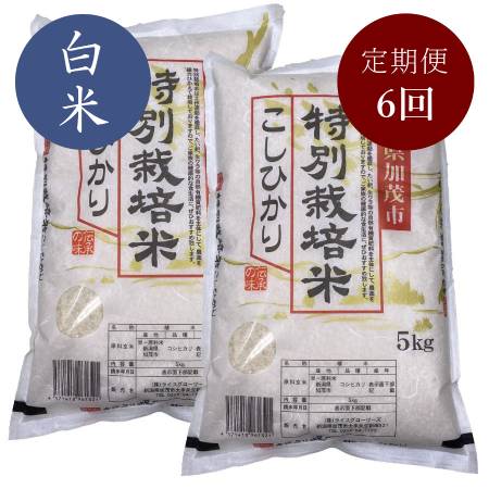 【定期便】加茂有機米生産組合の作った特別栽培米コシヒカリ 白米 10 kg×6回お届け