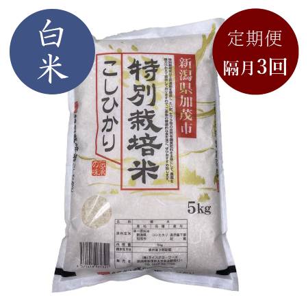 【定期便】加茂有機米生産組合の作った特別栽培米コシヒカリ 白米 ５kg×隔月3回お届け