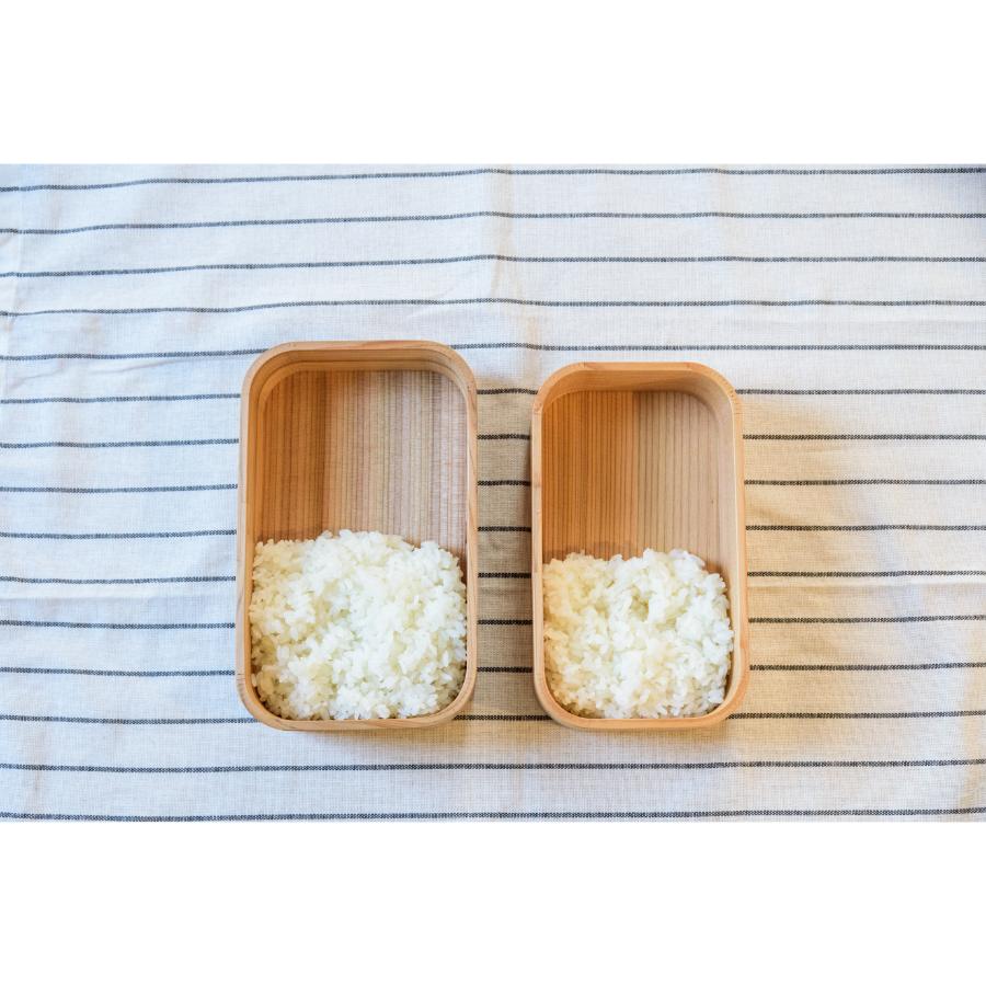 <ASAKURA>三ツ星弁当箱 600ml