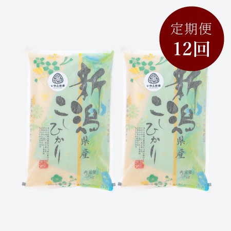 新潟岩船産コシヒカリ5kg×2袋 定期便12ヶ月