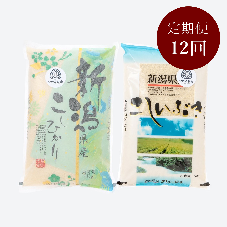 新潟岩船産コシヒカリ・こしいぶき 食べ比べセット5kg×各1袋 定期便12ヶ月