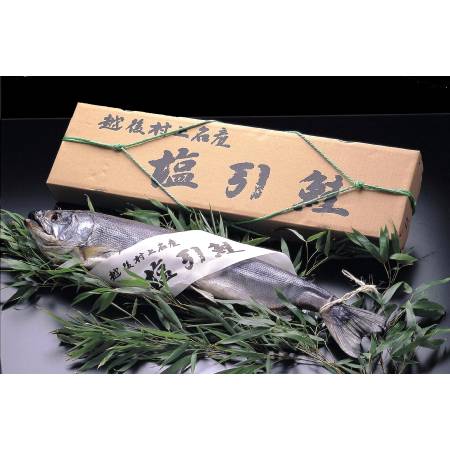 村上名産塩引鮭一本物