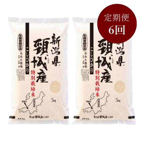 新潟県上越産コシヒカリ特別栽培米5kg×2　６か月定期便