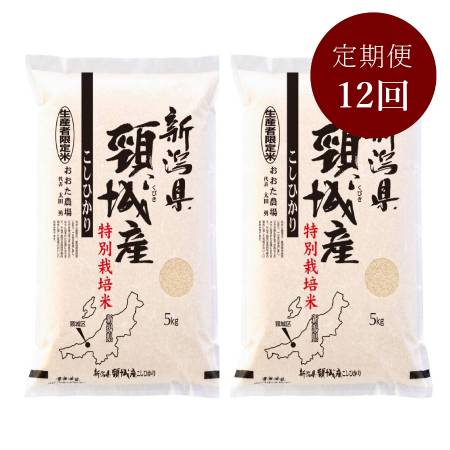 新潟県上越産コシヒカリ特別栽培米5kg×2　１２か月定期便