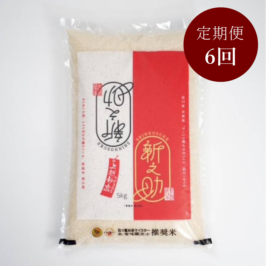 新潟県上越市産新之助5kg 定期便6回