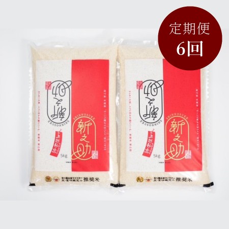 新潟県上越市産新之助5kg×2 定期便6回