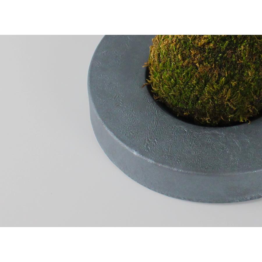 <MYK>KOKEDAMA - kubo / maru