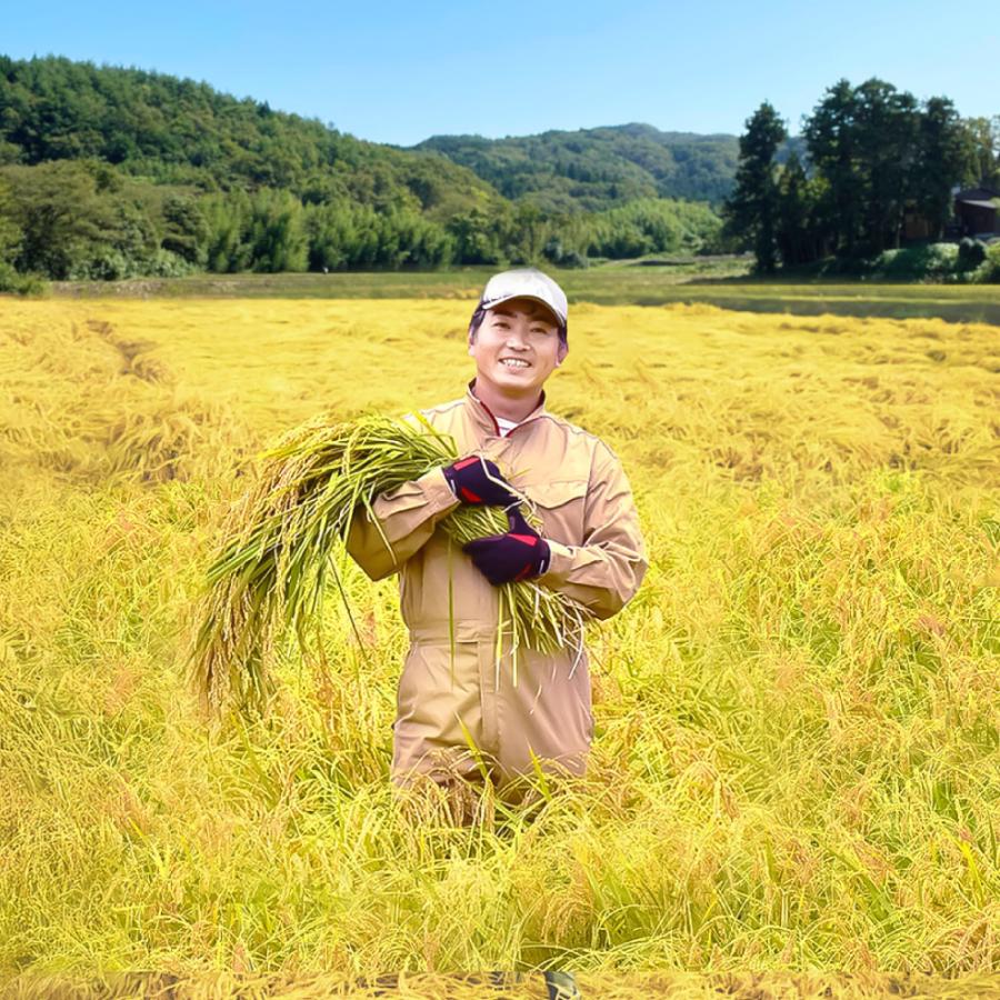 【令和7年産新米】<食の宝島 佐渡>農薬5割減「佐渡島産こしいぶき」白米5kg