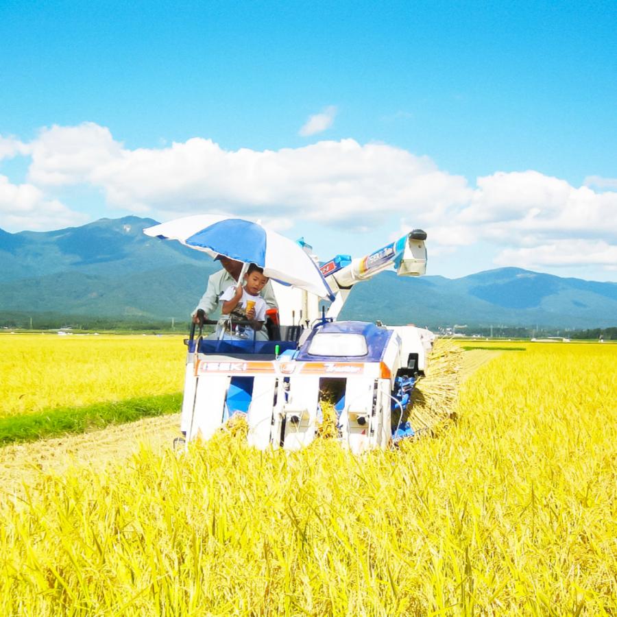 【令和7年産新米】<食の宝島 佐渡>農薬5割減「佐渡島産つきあかり」白米5kg