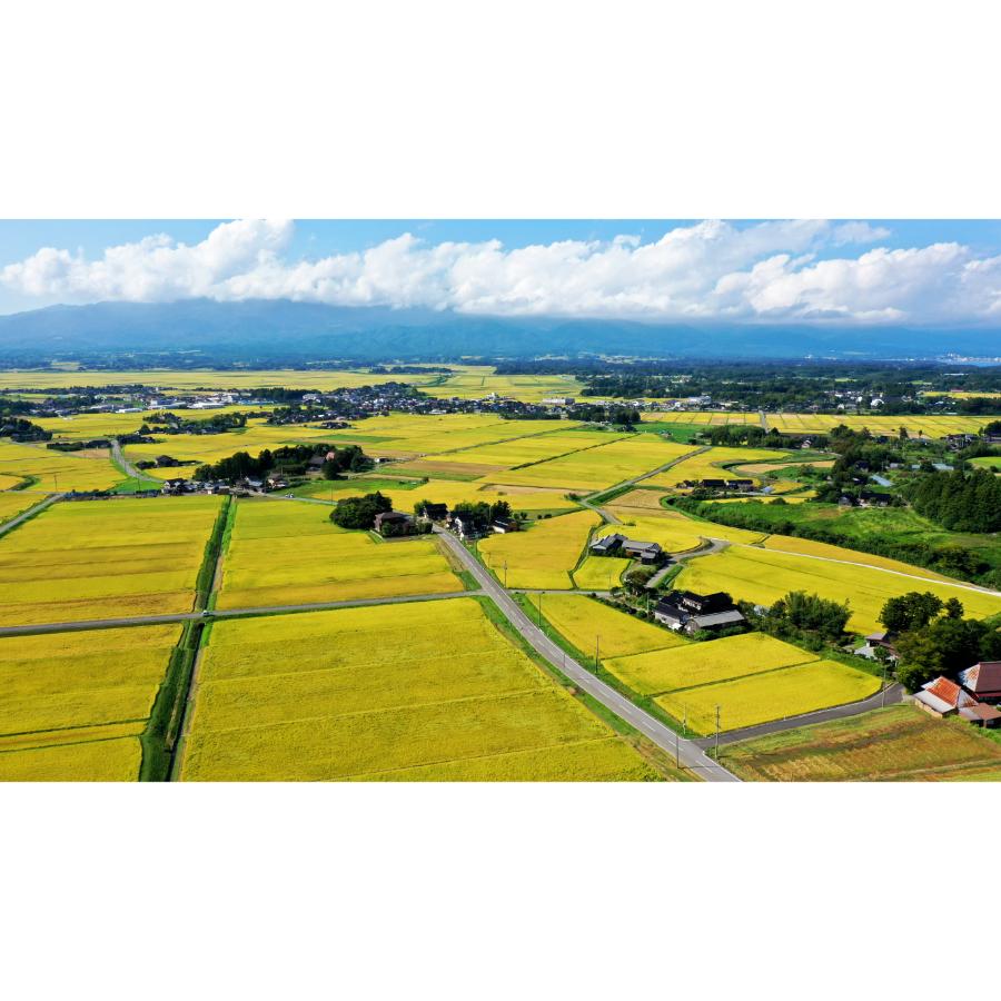 【令和7年産新米】<食の宝島 佐渡>特別栽培米「佐渡島産にじのきらめき」白米10kg(5kg×2)