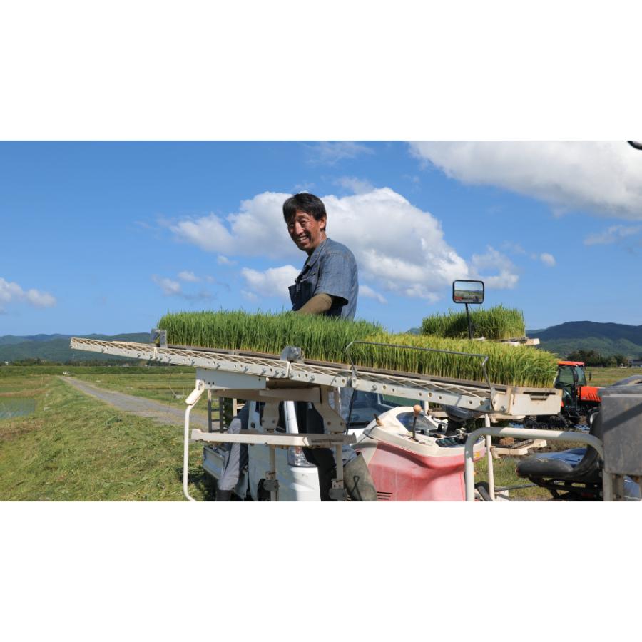 ＜食の宝島佐渡＞佐渡産ゆうだい21 白米5kg
