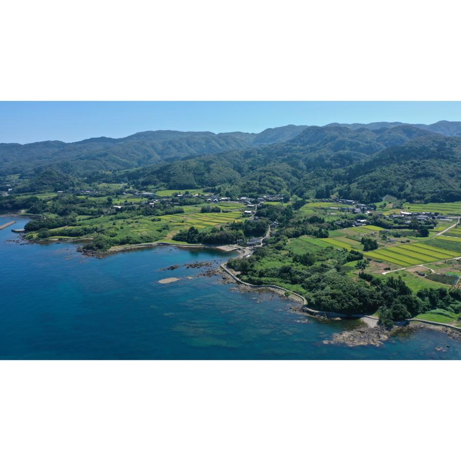 ＜食の宝島佐渡＞佐渡産ミルキークイーン 特別栽培米  白米10kg（5kg×2）