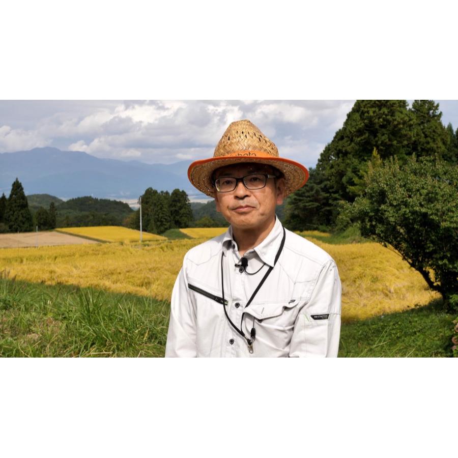 ＜食の宝島佐渡＞佐渡産ミルキークイーン 特別栽培米  無洗米5kg