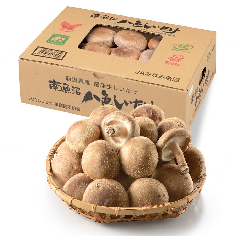 八色しいたけ1kg