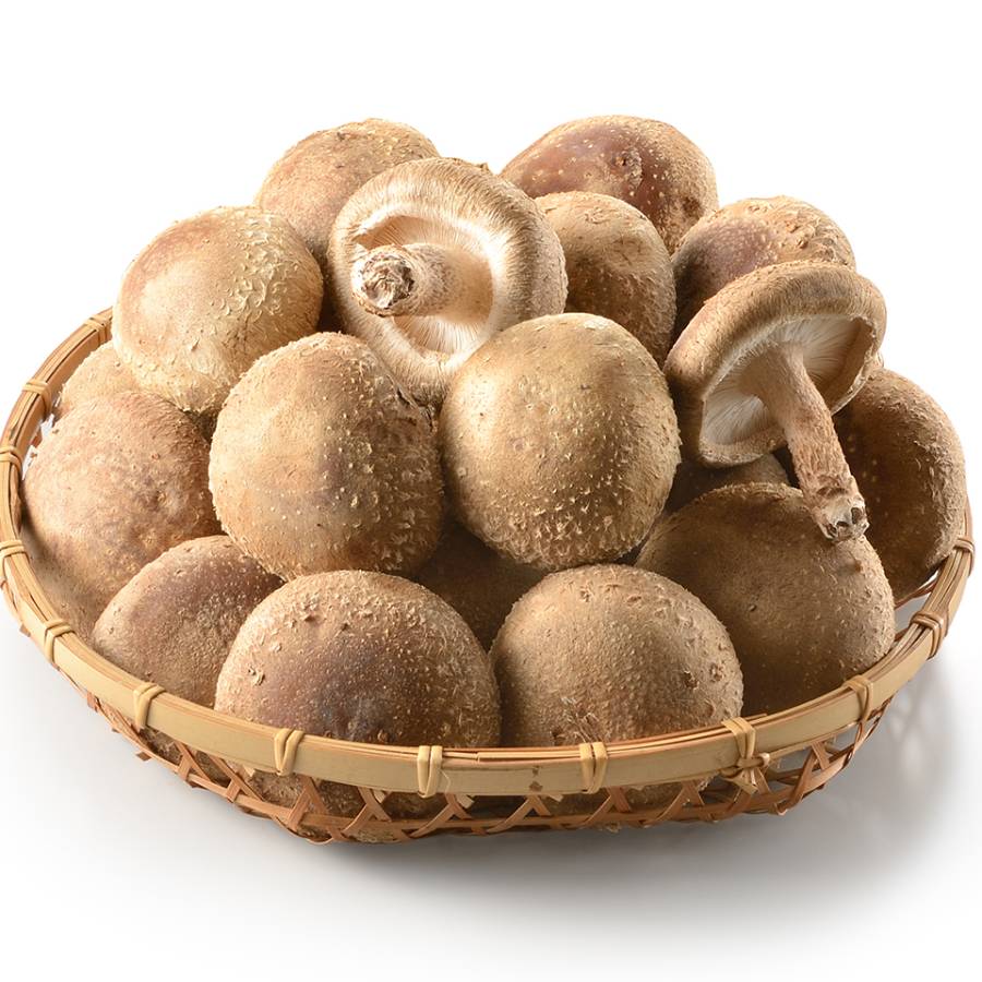 八色しいたけ1kg