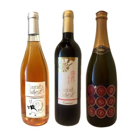 ＜レスカルゴ＞マスカットベイリーA 弥彦 3本セット