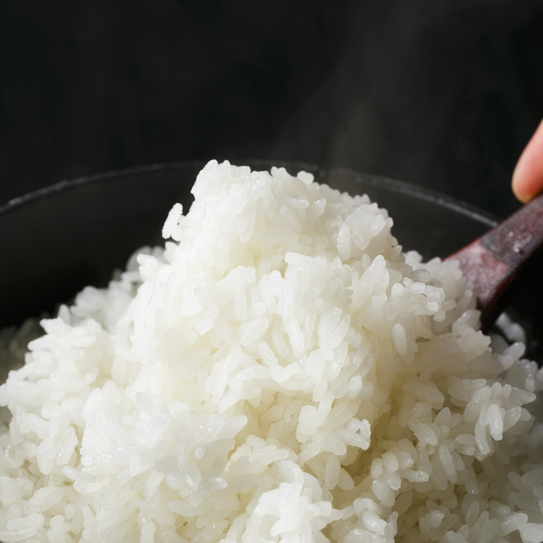 今摺米 特別栽培 新潟県奥阿賀産こしひかり10kg（生産者：越後ファーム）