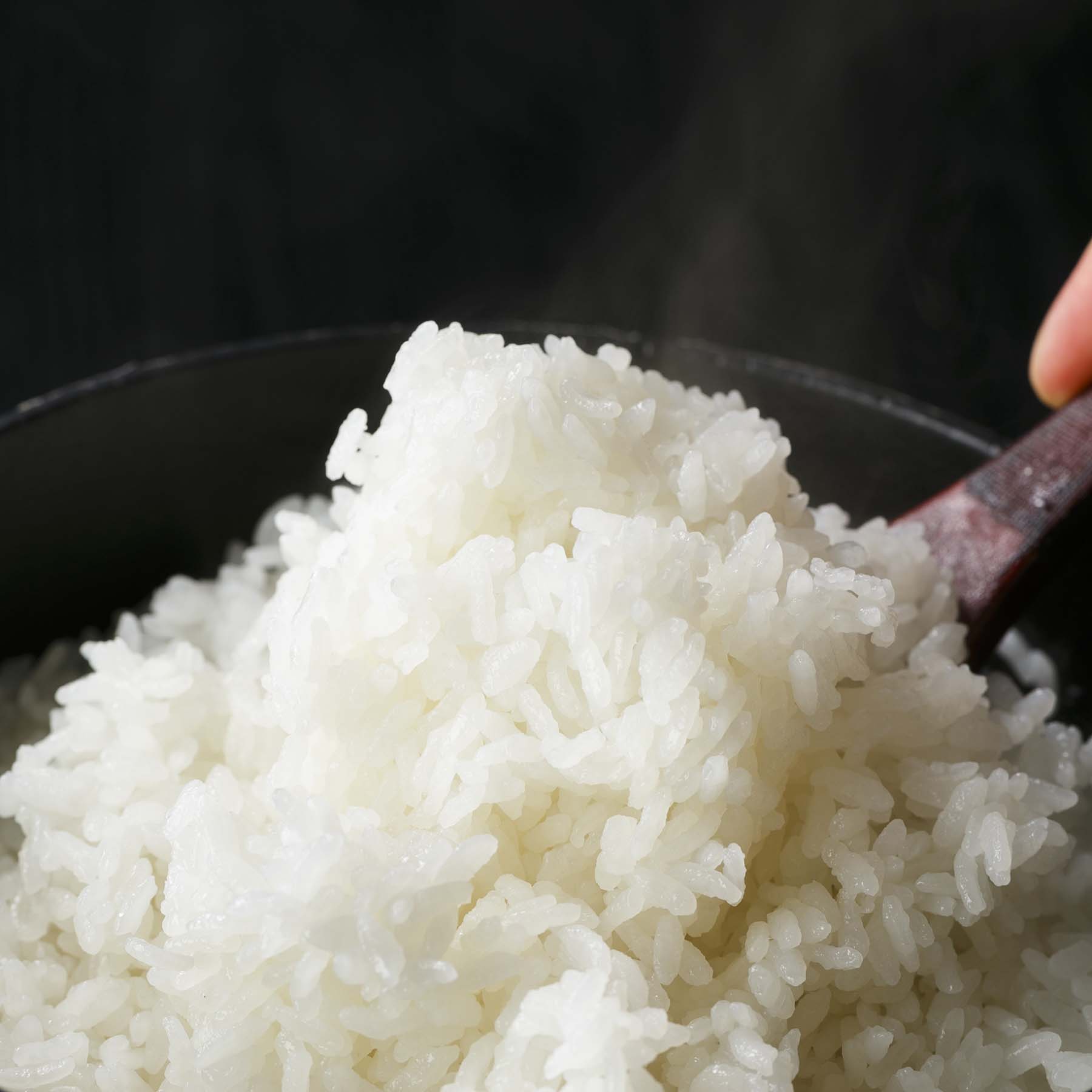 今摺米 特別栽培 新潟県奥阿賀産こしひかり20kg（生産者：越後ファーム）