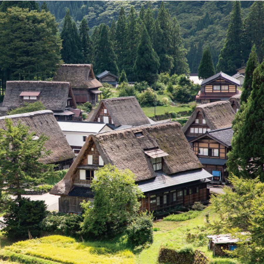 ＜石川製麺＞富山県南砺産そば粉使用細切り八割そば