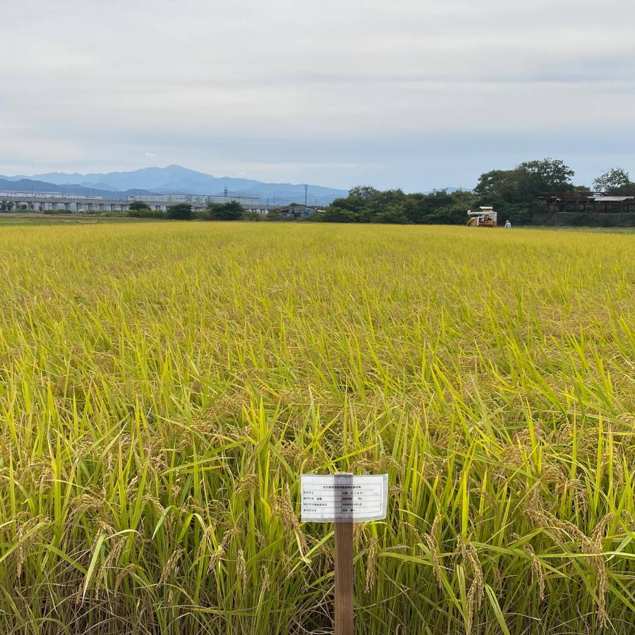 ＜北本農場＞にこまる米白米5kg