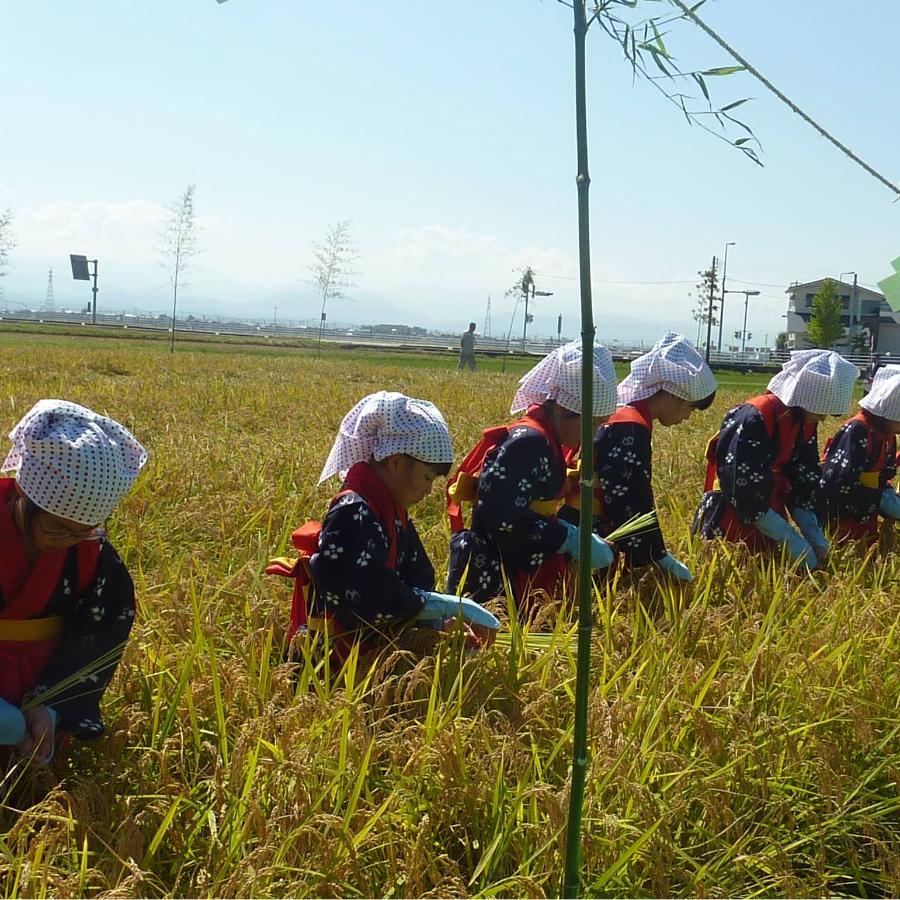 ＜北本農場＞にこまる米白米5kg