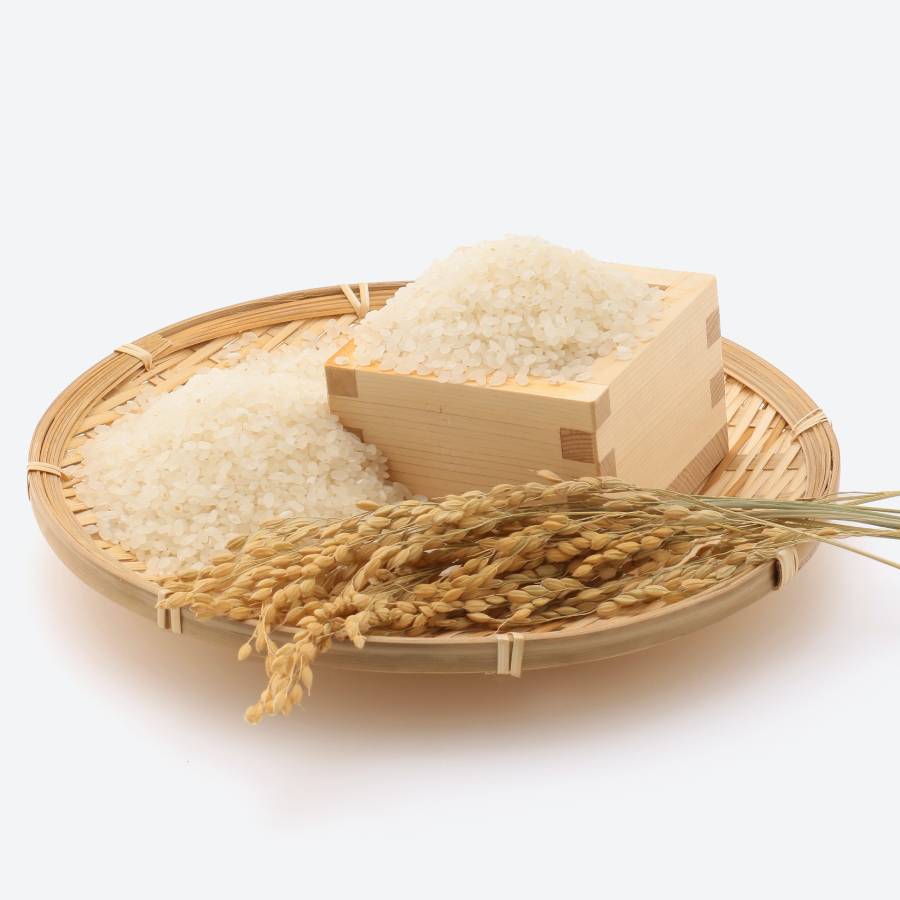 ＜能登　農家にしの＞特別栽培米「こしひかり」5kg