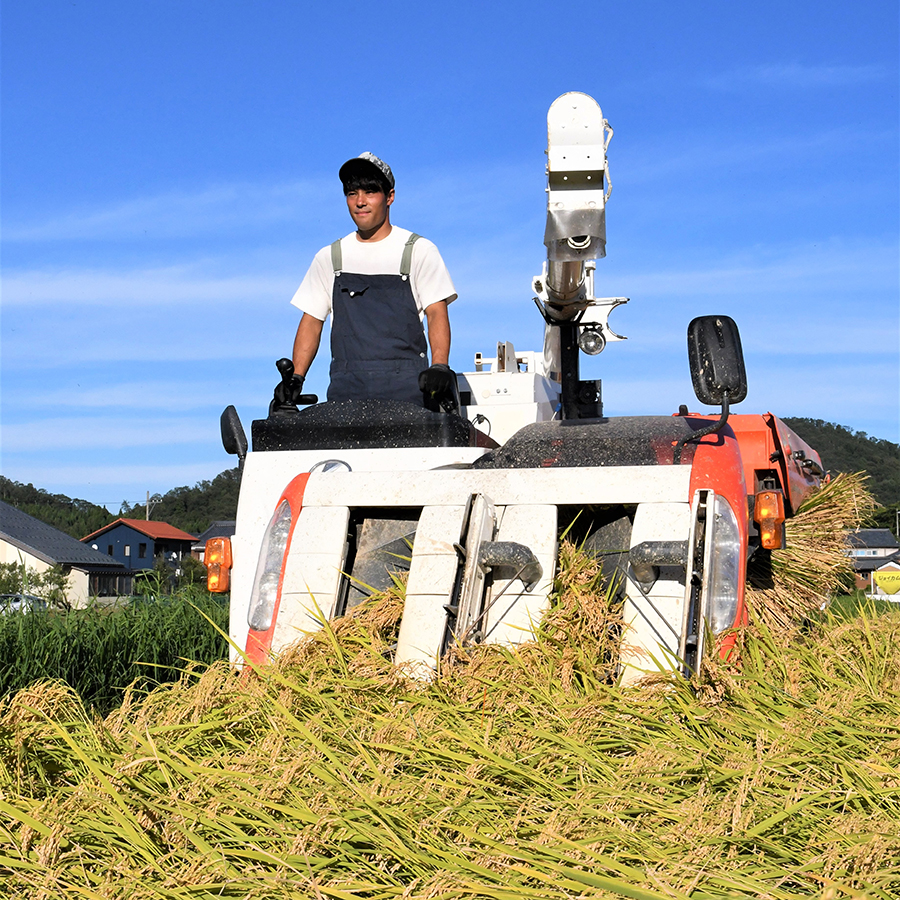 ＜田んぼの天使＞有機ＪＡＳ認証　越前コシヒカリ５ｋｇ