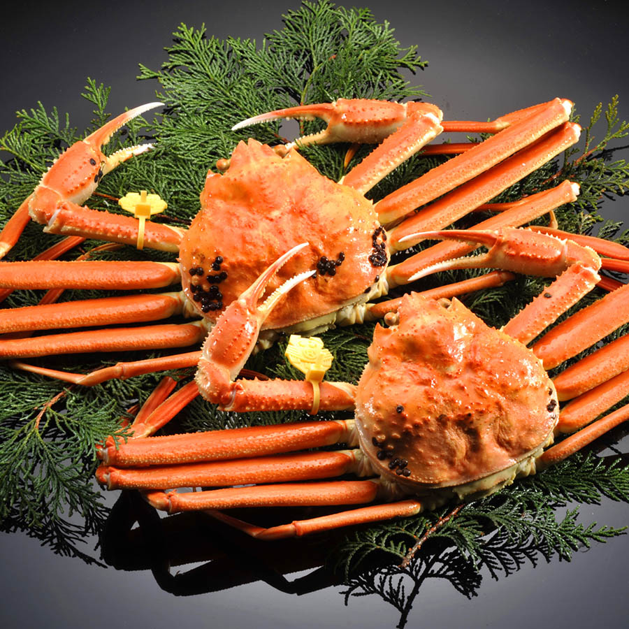 <福丸>越前がに 中