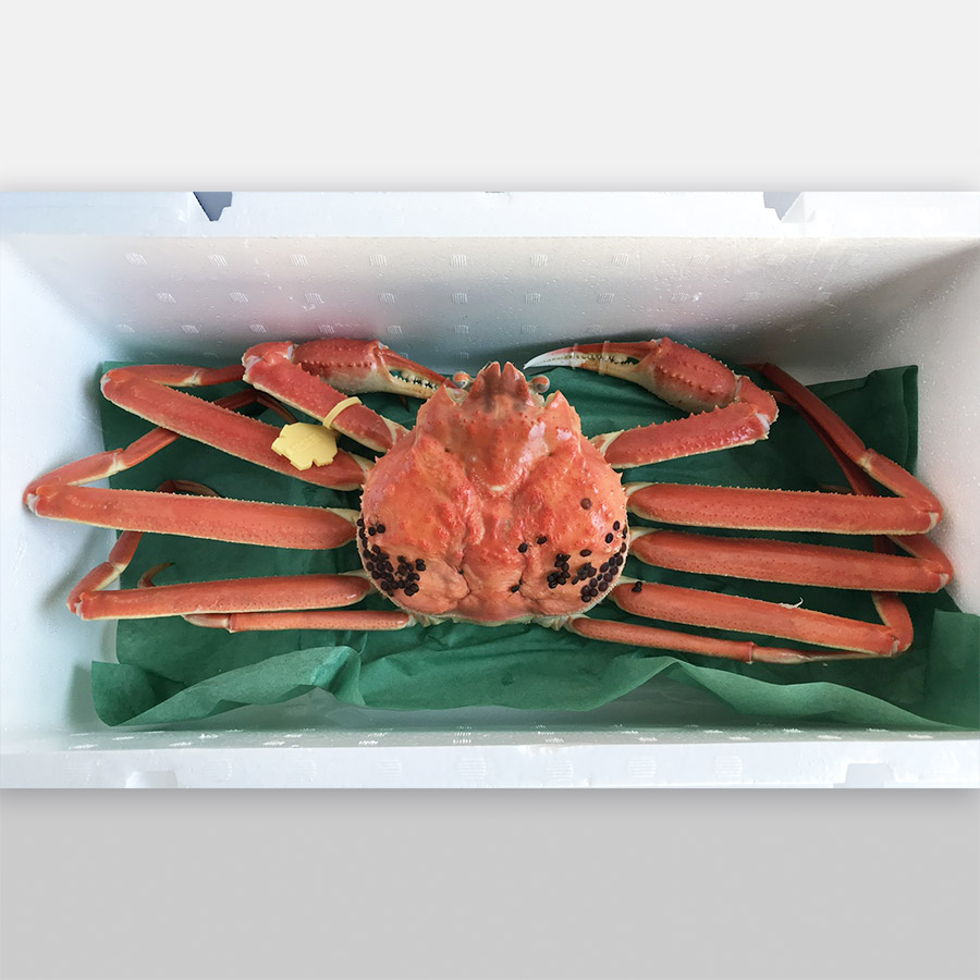 <福丸>越前がに 中