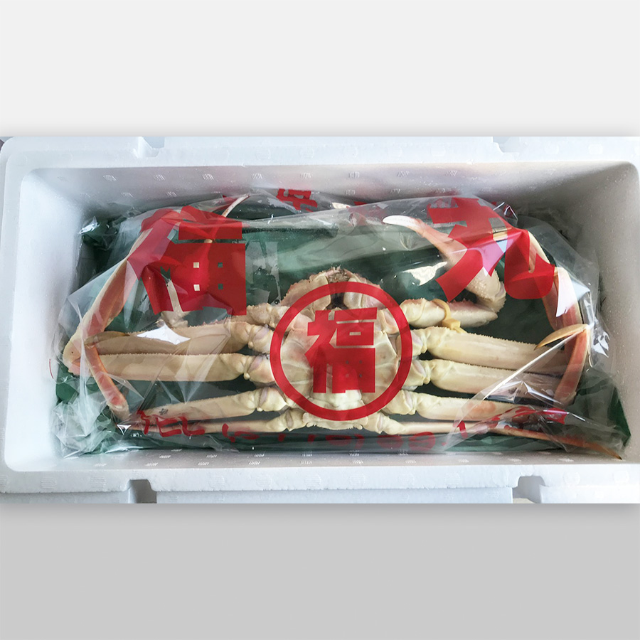 <福丸>越前がに 中