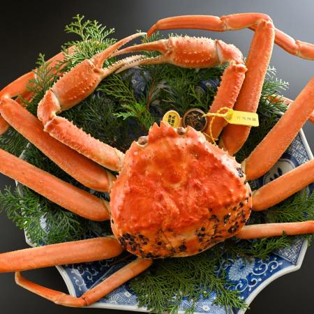 ＜越前 蟹の本陣＞福井県が誇るブランド蟹　浜茹で【越前がに　極】