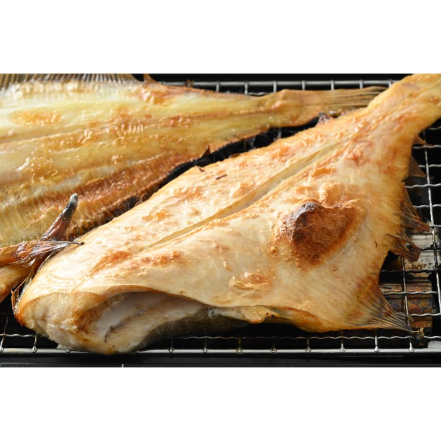 <福丸ごーじょーもん>【訳あり】国産干物 2kg 越前町産カレイ 一夜干し干物 無添加 15尾以上