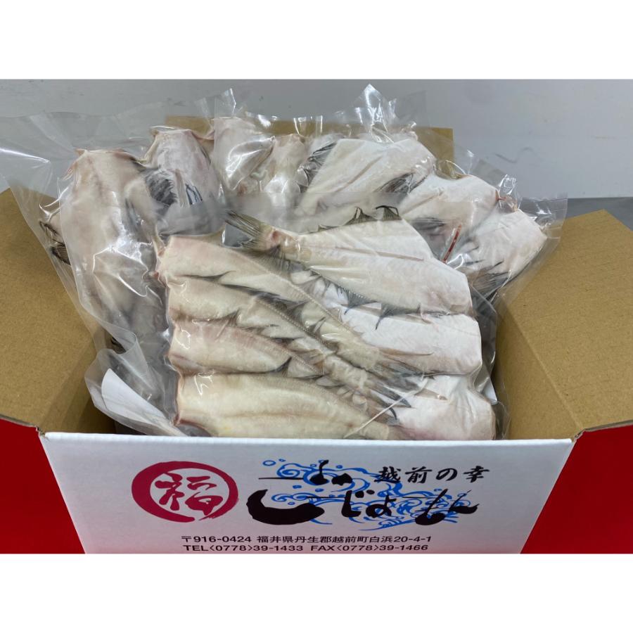 <福丸ごーじょーもん>【訳あり】国産干物 2kg 越前町産カレイ 一夜干し干物 無添加 15尾以上