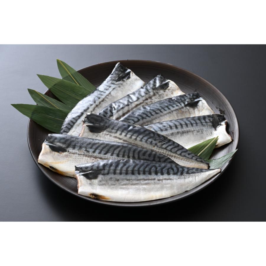 <福丸ごーじょーもん>【骨抜き】鯖の一夜干し 約1kg(半身7切)