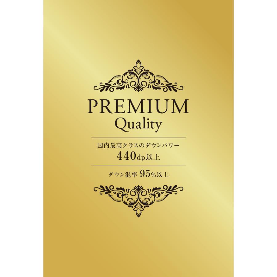 <ディーブレス>とろける羽毛ふとんamuse2【シングル】合掛けふとん 専用カバー付き/ラベンダー