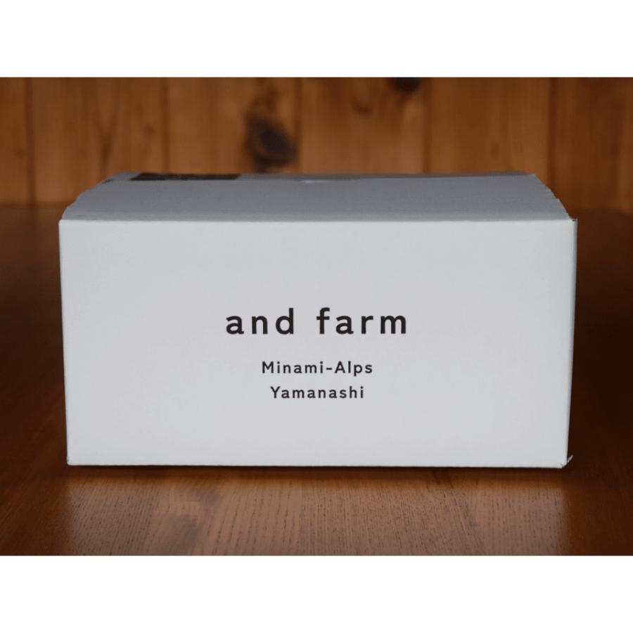 <and farm>26年出荷南アルプス市産 すもも「大石」15玉