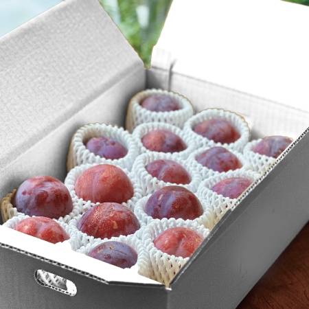 ＜Bonchi＞貴陽3kg(12~15個入)