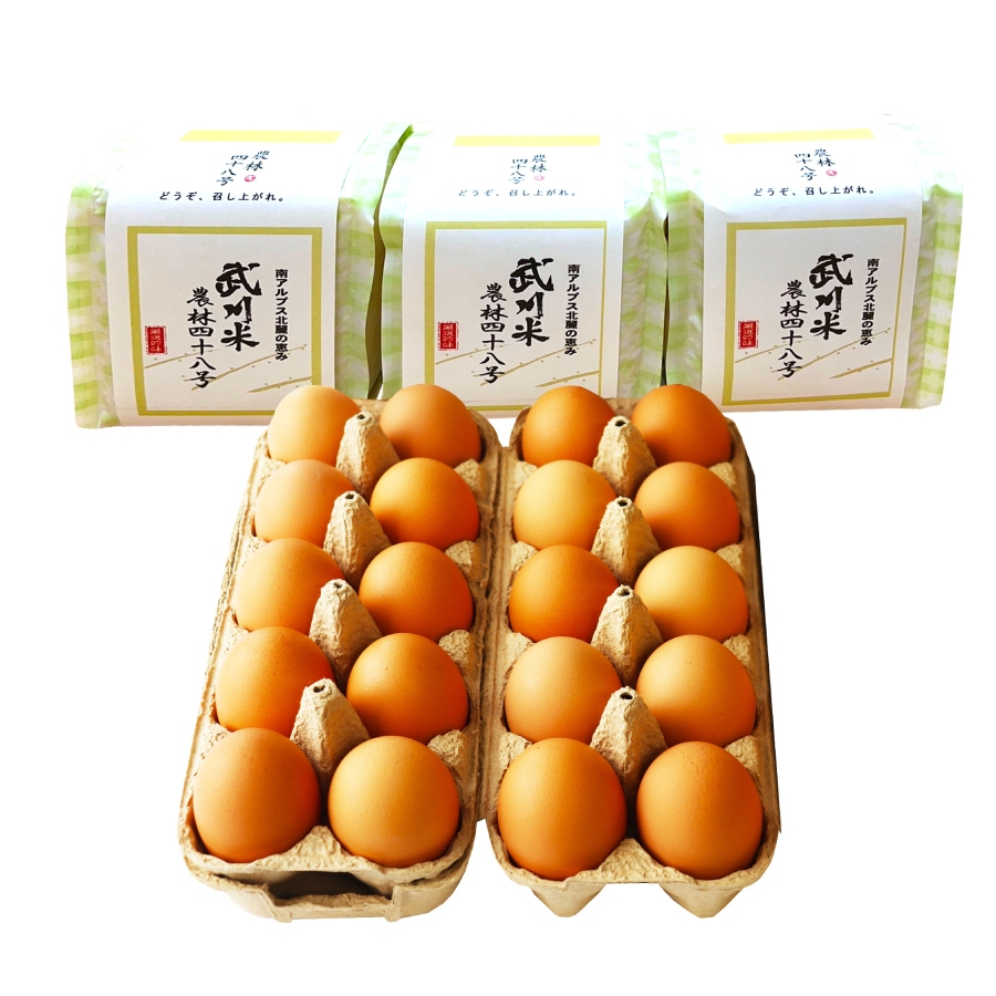 極み卵かけご飯Aセット（ワインたまご20個、武川米農林48号450g×3袋）定期便6回
